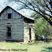 Homestead cabin